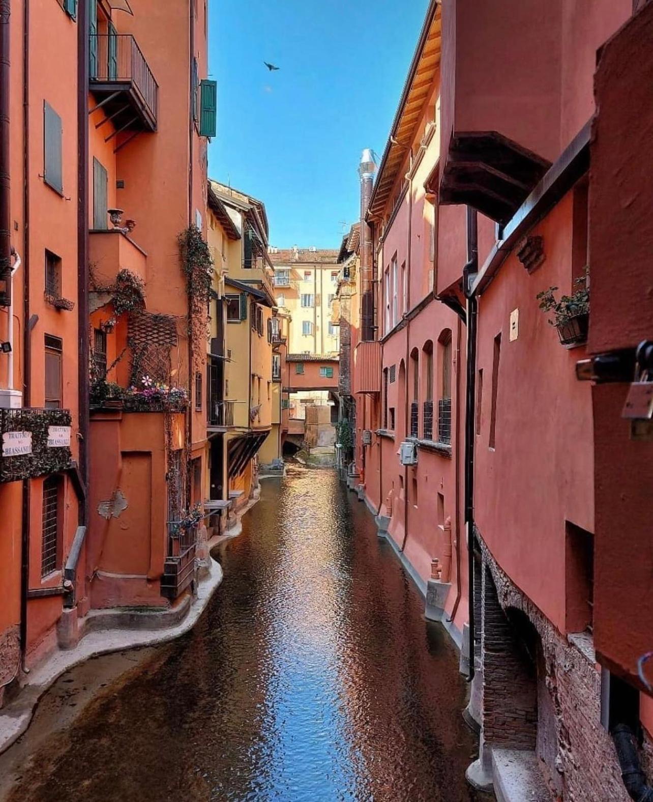 Bolognabyside -righi * Bolonia